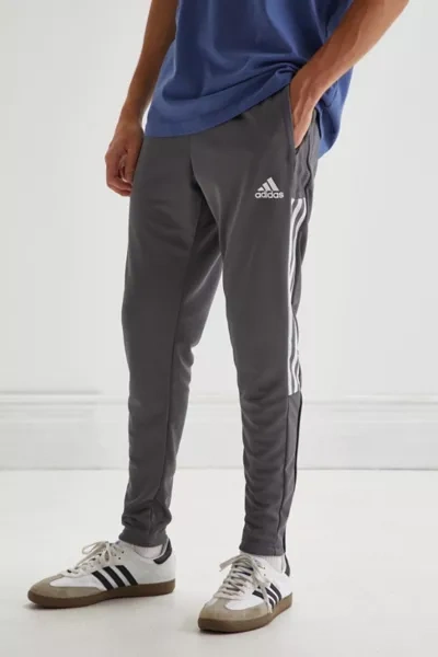 Shop Adidas Originals Tiro 21 Recycled Track Pant In Grey