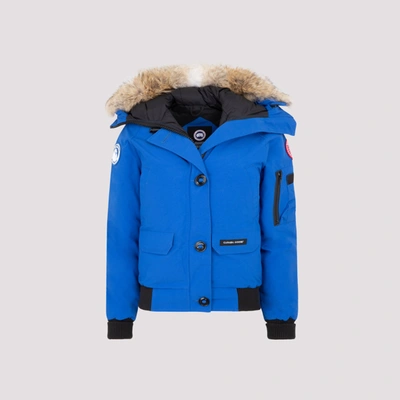 Shop Canada Goose Pbi Chilliwack Bomber Jacket In Blue