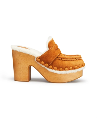 Chloé Joy Suede Block-heel Clogs In Caramello