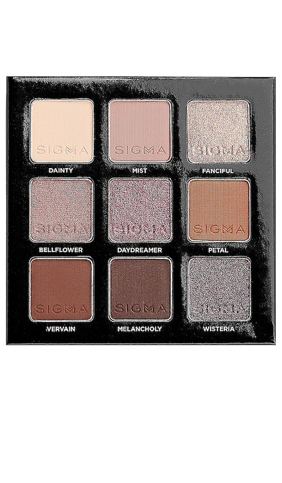 Sigma Beauty Hazy Eyeshadow Palette In N,a