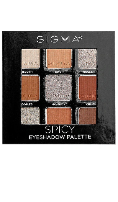 Sigma Beauty Spicy Eyeshadow Palette In N,a