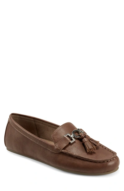 Shop Aerosoles Deanna Tassel Loafer In Dk Tan Combo