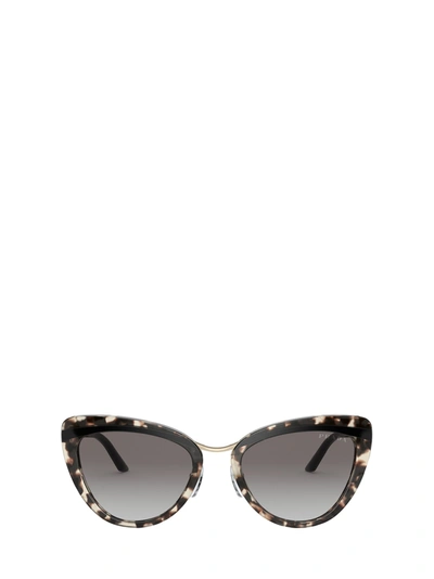 Shop Prada Pr 25xs Havana Sunglasses