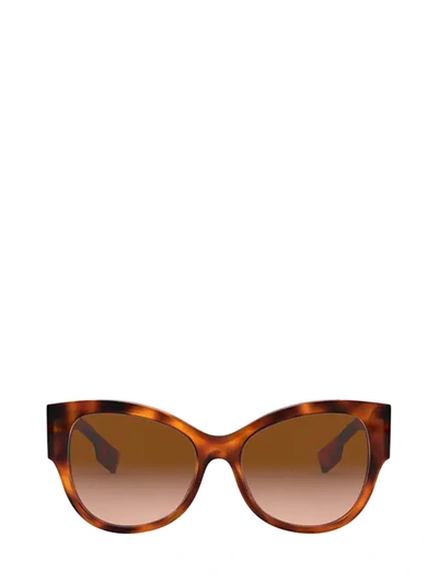 Shop Burberry Be4294 Light Havana Sunglasses