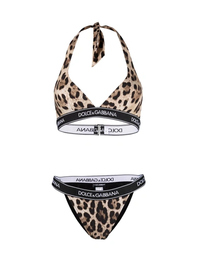Shop Dolce & Gabbana Bikini Tanga In M New Leo