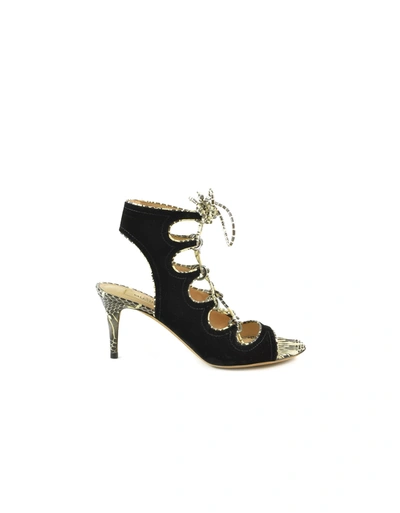 Shop Valentino Black Suede And Stone Snake Print Lace Up Sandals