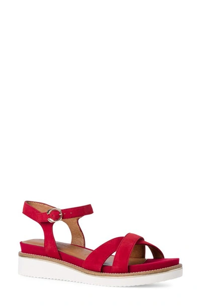 Tamaris Crista Ankle Strap Sandal In Scarlet | ModeSens