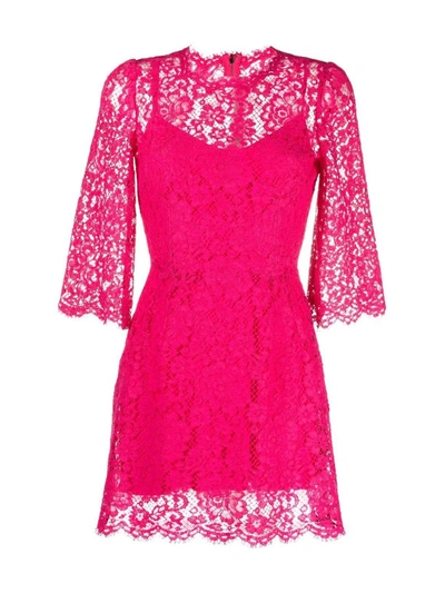 Shop Dolce & Gabbana Embroidered Lace Cocktail Dress In Pink