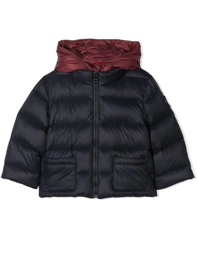 Shop Fay Blue And Red Padded Jacket