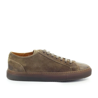 Shop Doucal's Doucals Coffee Brown Suede Sneaker In Tabacco