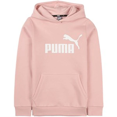 Zeggen zacht schraper Puma Kids' Little Girl's No. 1 Logo Pack Zip-front Hoodie In Pink | ModeSens