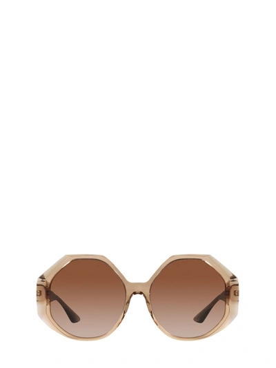 Shop Versace Eyewear Greca Detailed Oversize In Brown