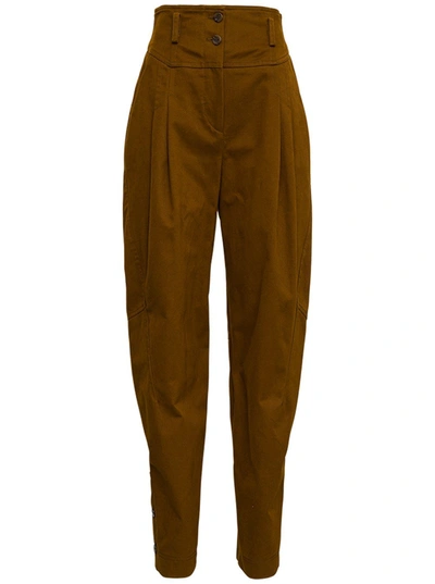 Shop Alberta Ferretti Pinces High Waisted Pants In Brown