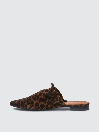Shop Matisse Vienna Suede Mule In Leopard