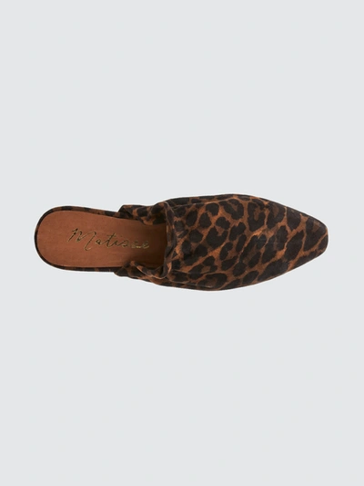 Shop Matisse Vienna Suede Mule In Leopard