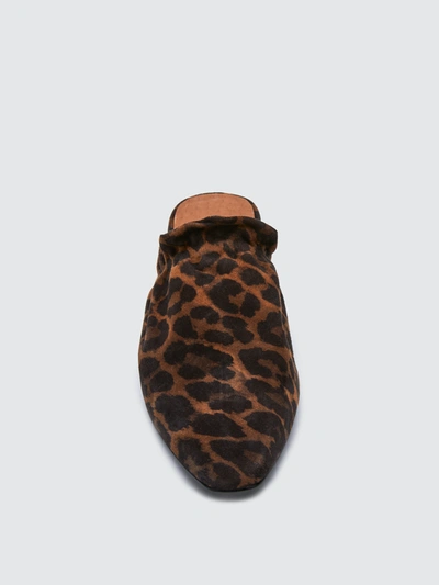 Shop Matisse Vienna Suede Mule In Leopard