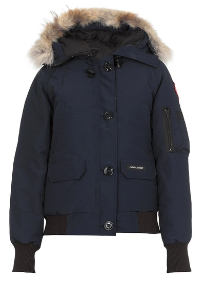 Shop Canada Goose Chilliwack Hooded Bomber Jacket In Navy