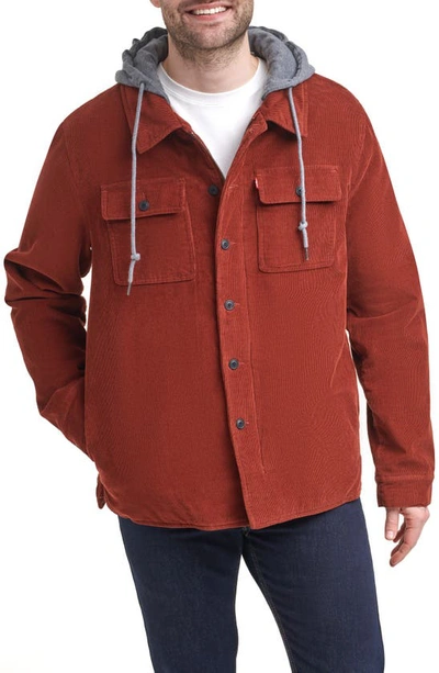 Shop Levi's Faux Shearling Lined Hooded Corduroy Shirt Jacket In Rust