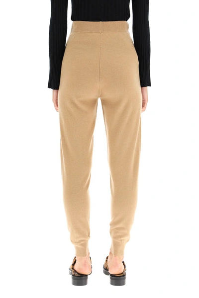 Shop Max Mara Wool And Cashmere Knit Trousers In Mixed Colours
