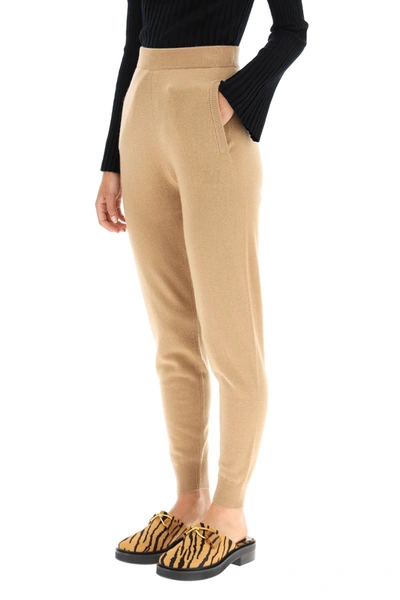 Shop Max Mara Wool And Cashmere Knit Trousers In Mixed Colours