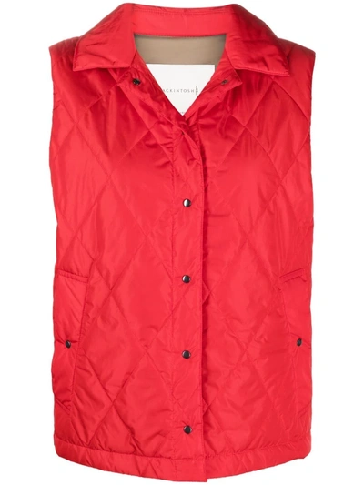 Shop Mackintosh Annabel Sleeveless Quilted Jacket In Rot