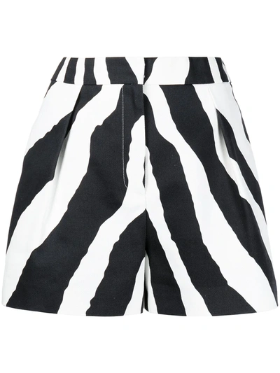 Shop Carolina Herrera Zebra-print High-waisted Shorts In Schwarz