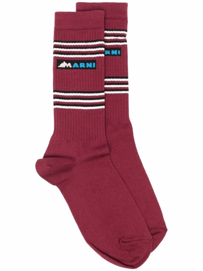 Shop Marni Logo-print Ribbed-knit Socks In Red