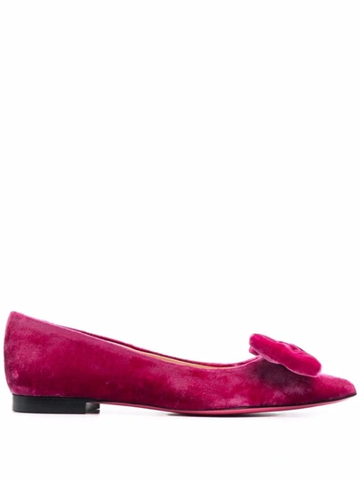 Shop Dee Ocleppo Bow-detail Velvet Pumps In Pink