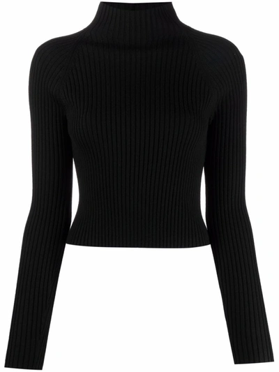 Shop Alice And Olivia Ribbed Knit Jumper In Black