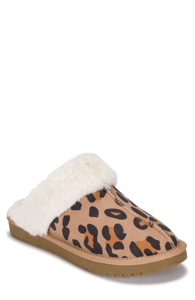 Shop Baretraps Teegan Faux Fur Lined Clog Slipper In Leopard