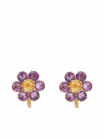 Shop Dolce & Gabbana 18kt Yellow Gold Spring Gemstone Earrings