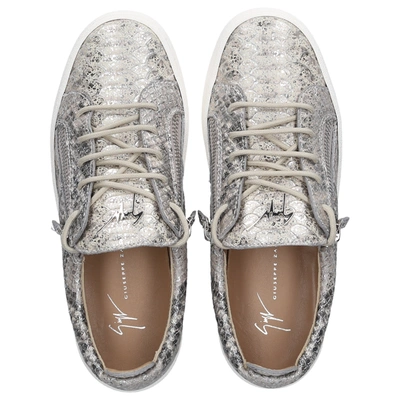 Shop Giuseppe Zanotti Low-top Sneakers Gail Calfskin In Silver