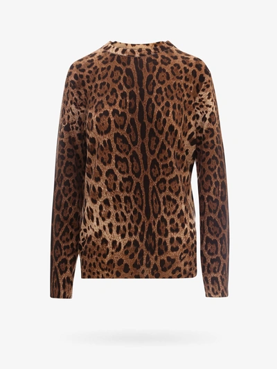 Shop Dolce & Gabbana Sweater In Brown