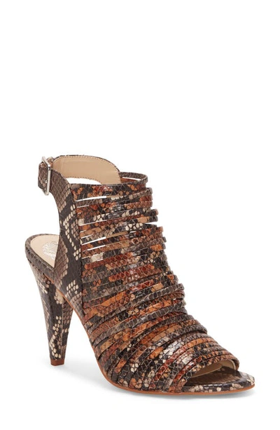 Shop Vince Camuto Adeenta Sandal In Taupe/ Wheat/ Wooden Leather