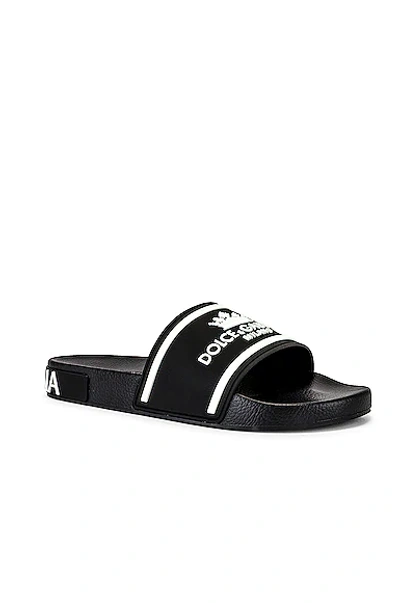 Shop Dolce & Gabbana Slide Sandal In Black & White