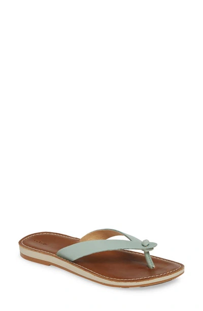 Shop Olukai Nohie Flip Flop In Tide Blue/ Tan Leather