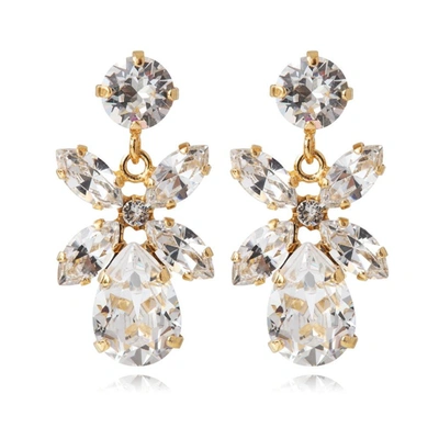 Shop Caroline Svedbom Mini Dione Earrings / Crystal In Rhodium