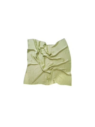 Shop Aéryne Chelsea Scarf In Green