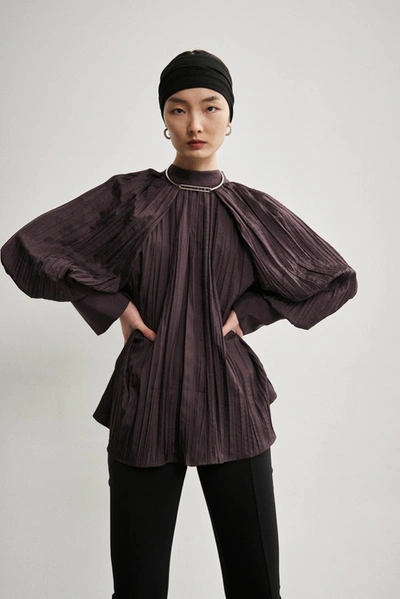 Shop Viktoria Chan Lizzy Wrinkled Blouse In Powder