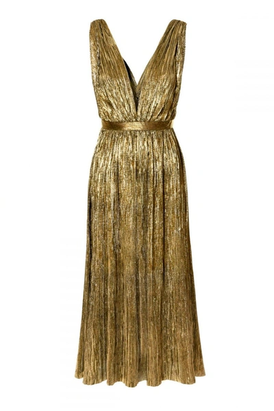 Shop Aggi Dress Marjolaime Soleil D'or In Gold
