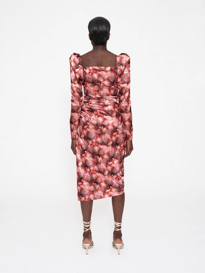 Shop Aéryne Penelope Dress - Floral In Red