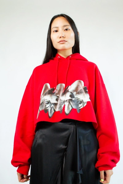 Shop Nika Tang Mokona Crop Hoodie In Red