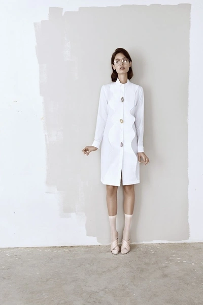 Shop Hashé Cotton Poplin Shirt Dress With Raw Stone Buttons In White