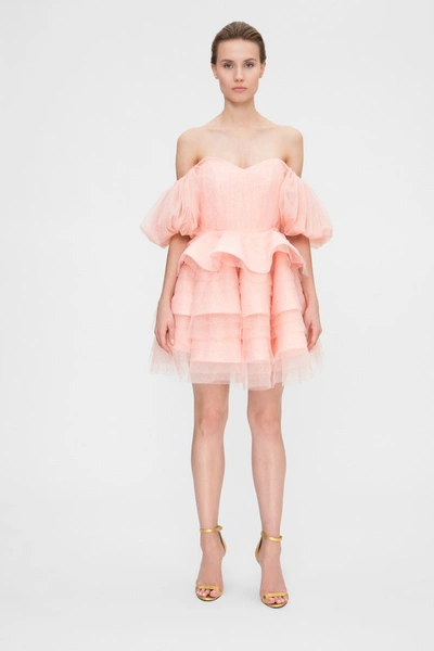 Shop Dafna May Dress In Pink