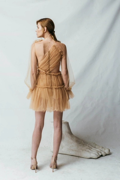Shop Aureliana Ballerina Tulle Mini Dress In Orange