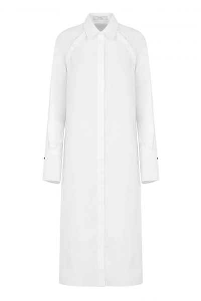 Shop A-line Sleeve(less) Dress Shirt In White