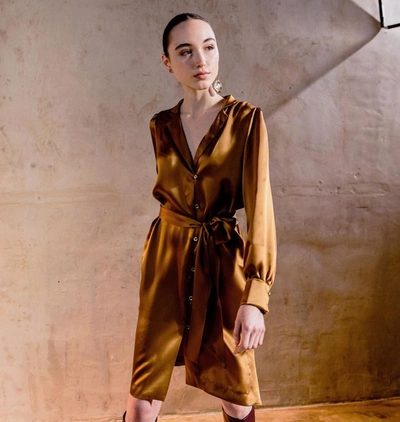 Shop Charlotte Pringels Azalee Bran Dress In Brown