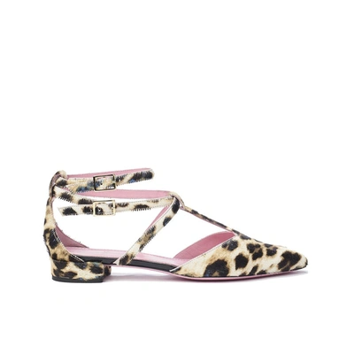 Shop Phare Ankle Strap Pointed Flat In Blu Leopard