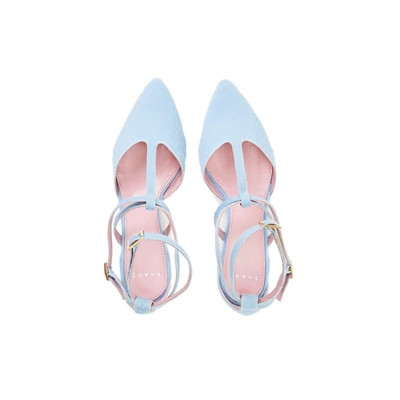 Shop Phare Ankle Strap Pointed Flat In Cielo