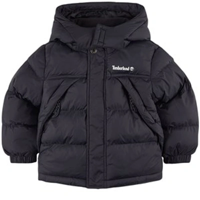Shop Timberland Kids Black  Logo Puffer Jacket